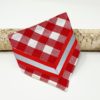 Bandana SCOT RED