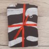 Zebra – Image 2