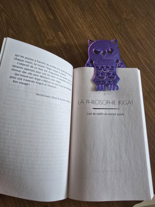 Hibou – Image 2